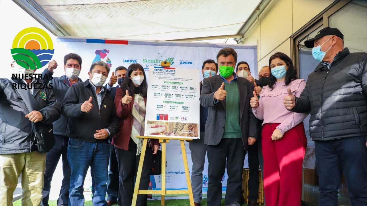 Incrementa la siembra de la temporada 2022/23