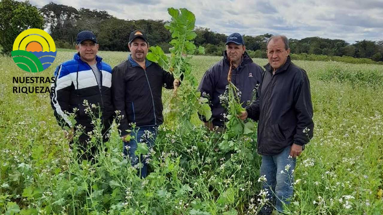 MAG realiza asesoramiento y asistencia técnica en el departamento de Caaguazú