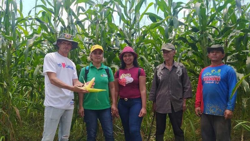 Ministerio de Agricultura supervisa  asentamientos de tierras de la Comuna Nueva Belén