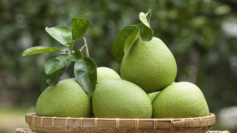 Se suspende la entrada de ciertas frutas y productos pesqueros en Taiwán