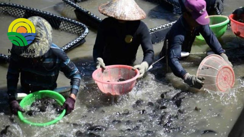 Pescadores y agricultores de Taiwán sienten el azote de las sanciones chinas