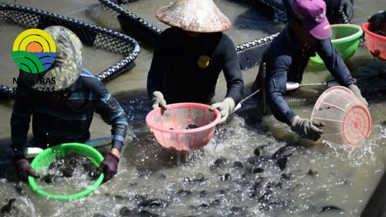Pescadores y agricultores de Taiwán sienten el azote de las sanciones chinas
