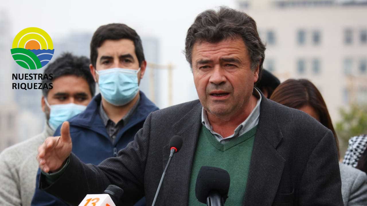 Plaga nematodo afecta la producción de frutillas