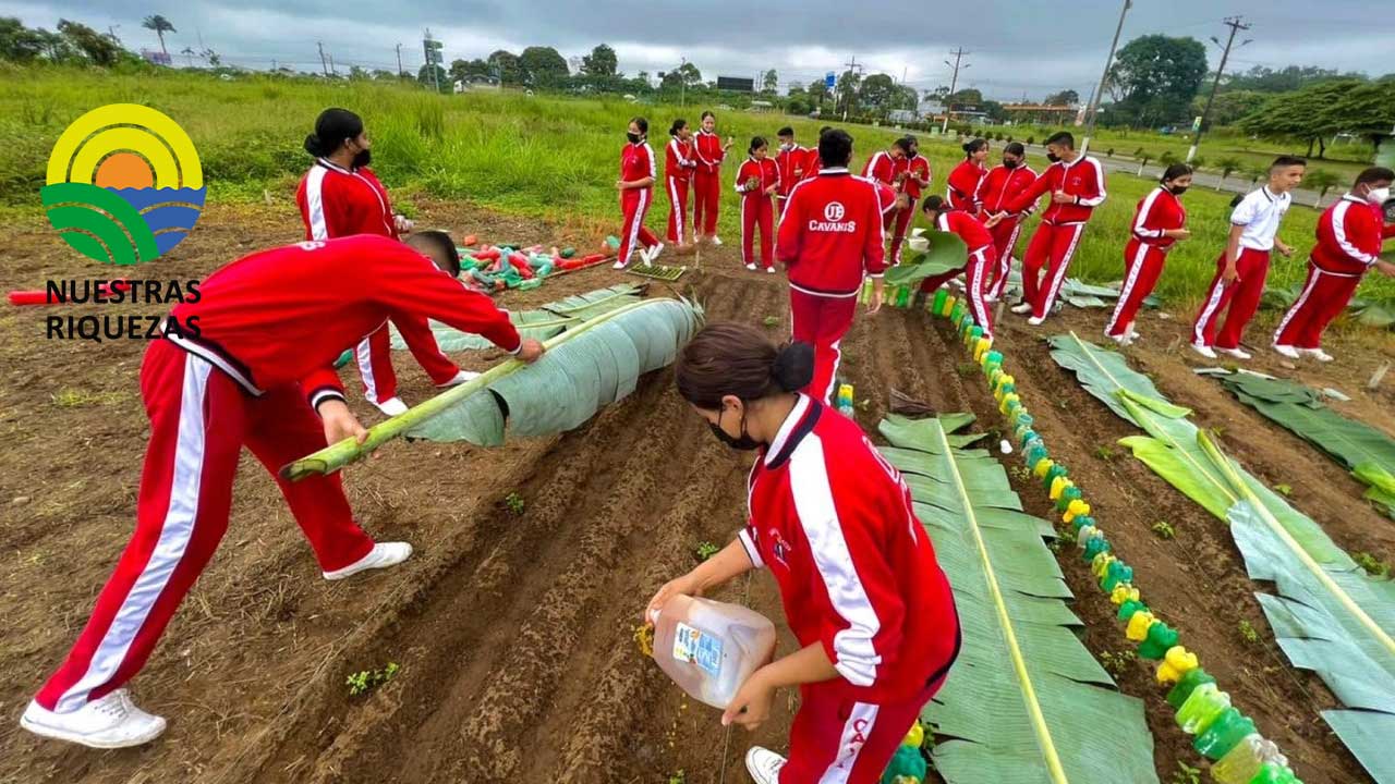Prefectura impulsa la creación de huertos