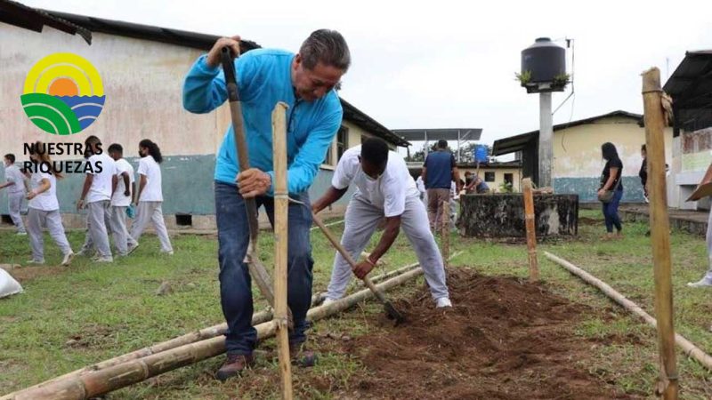 Prefectura impulsa proyecto de Huertos escolares