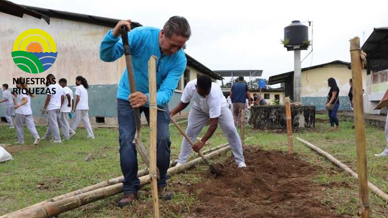 Prefectura impulsa proyecto de Huertos escolares