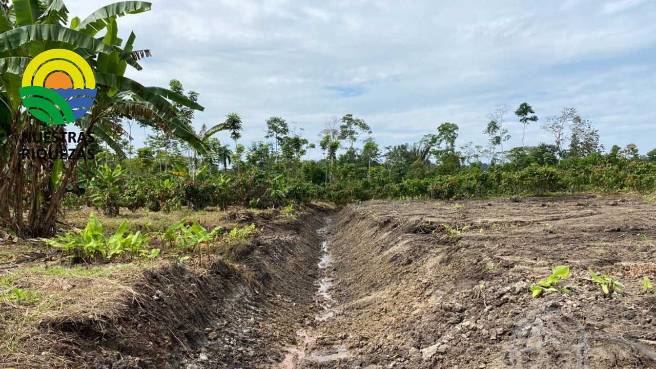 Prefectura trabaja en la construcción de drenajes