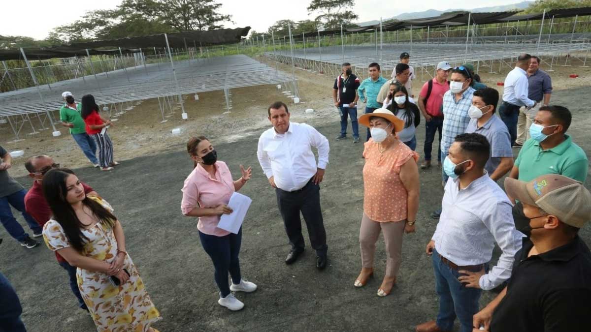 Prefectura y UTM trabajan en la construcción de un vivero tecnificado