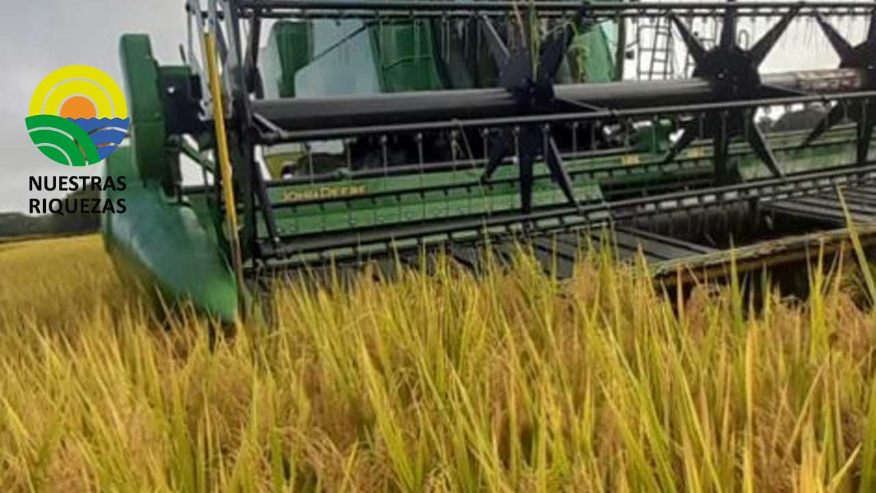 Ministerio de Agricultura publicó la resolución definitiva de subvenciones a programas de formación para profesionales del medio rural