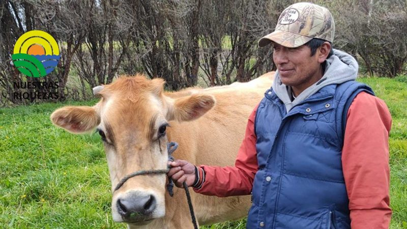 Proyecto CampoSeguro continúa beneficiando a pequeños ganaderos