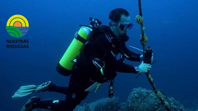 Se realizó una expedición científica para evaluar nuevas hábitats