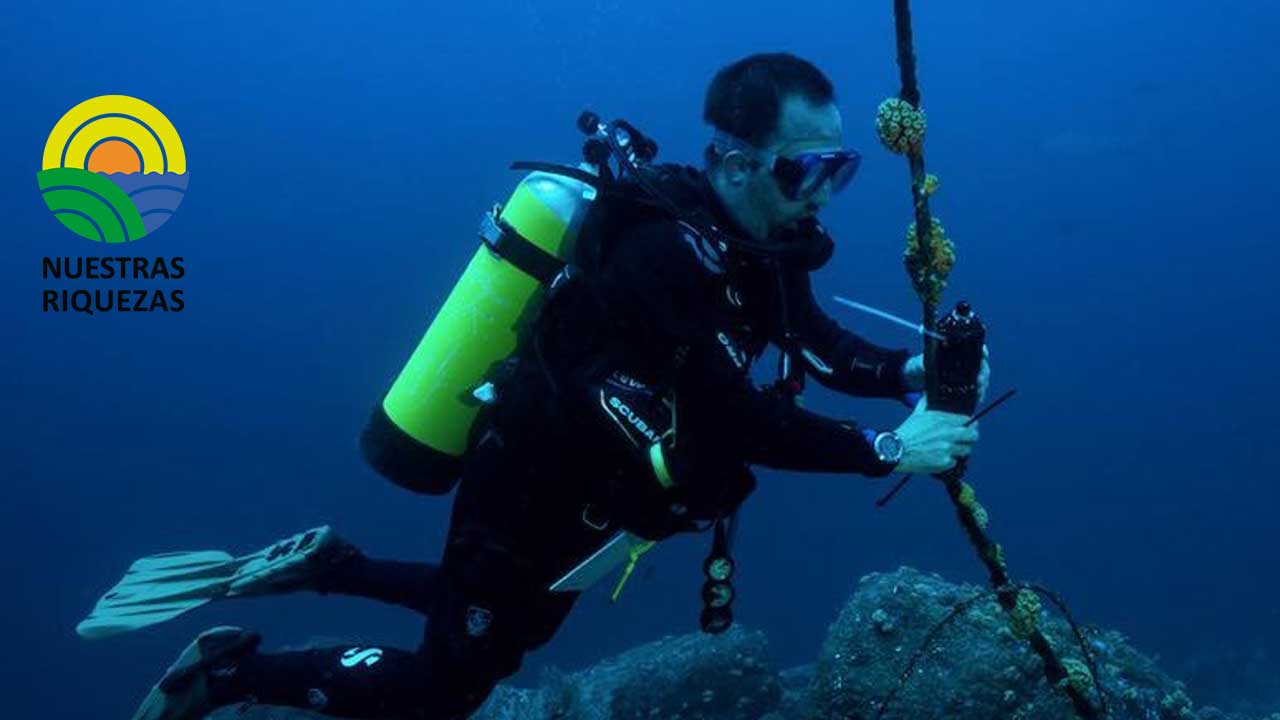 Se realizó una expedición científica para evaluar nuevas hábitats