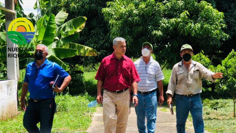 Secretaría de Agricultura reactivará las estaciones experimentales