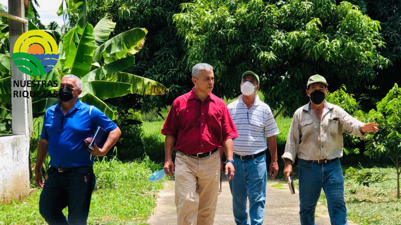 Secretaría de Agricultura reactivará las estaciones experimentales