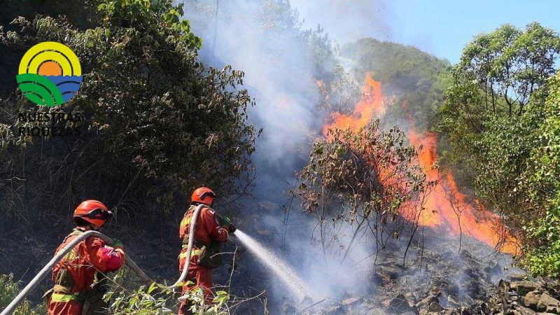 Sequía y altas temperaturas provocan incendios forestales e Chongqing