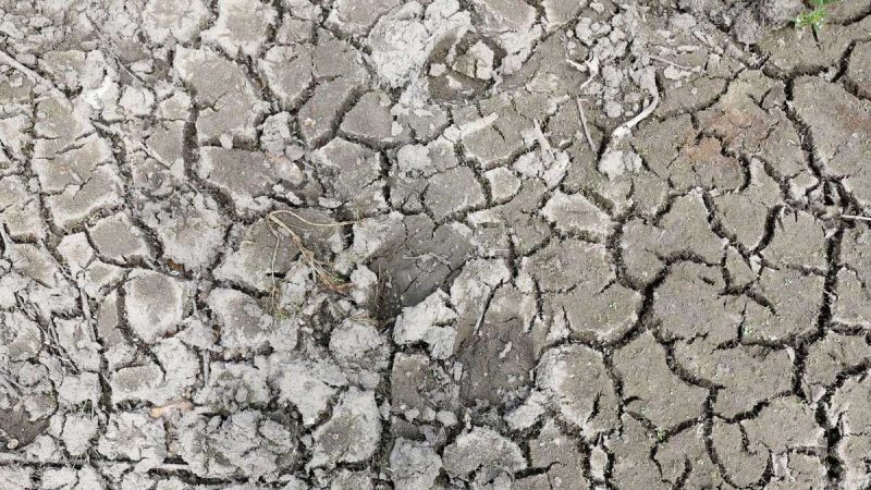 South East Water del Reino Unido impone restricciones a medida que continúa el clima seco