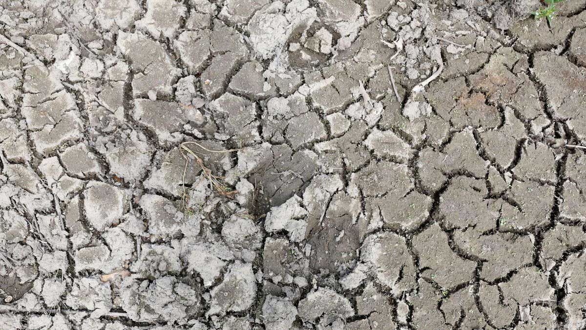 South East Water del Reino Unido impone restricciones a medida que continúa el clima seco