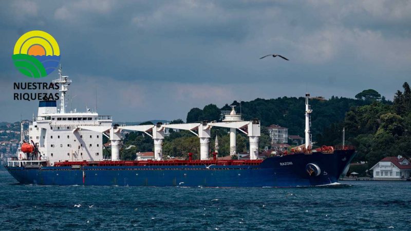 Trigo ucraniano llega a Estambul