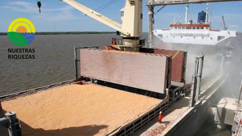 Ucrania trabaja para liberar envío de trigo detenido para Egipto