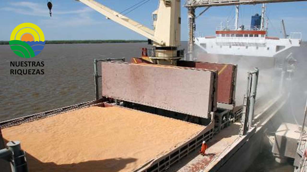 Ucrania trabaja para liberar envío de trigo detenido para Egipto