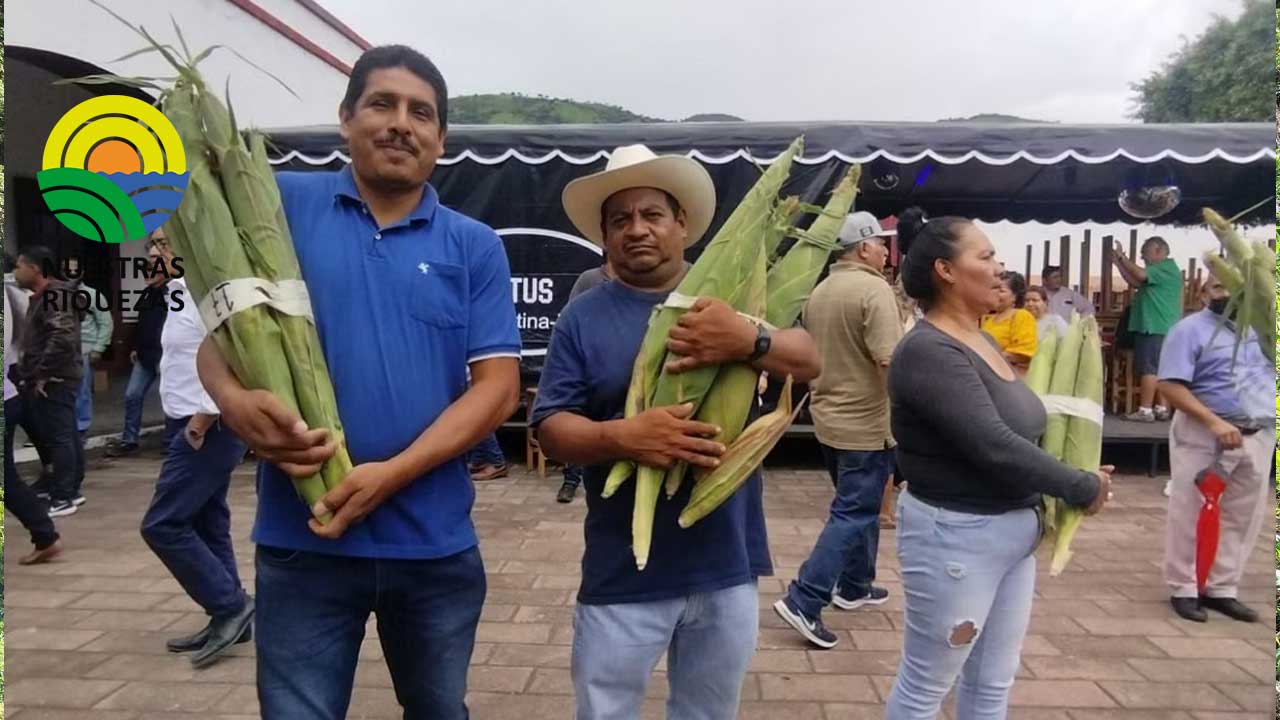 XXIX edición del concurso del Elote más Grande del Mundo