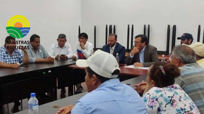 Cerca de USD 14 millones en subvenciones reciben productores de arroz