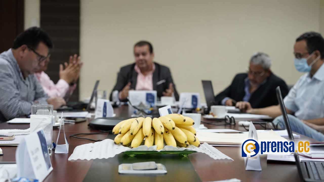 Por primera vez productores y exportadores acuerdan precio de la caja de banano
