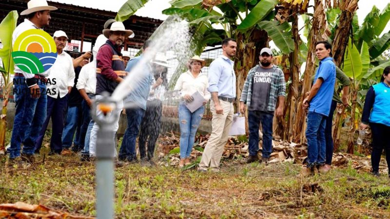 En Palenque Provincia de Los Ríos Doscientos cincuenta productores de la Asociación de Productores Agropecuarios 21 de Abril de Limoncillo