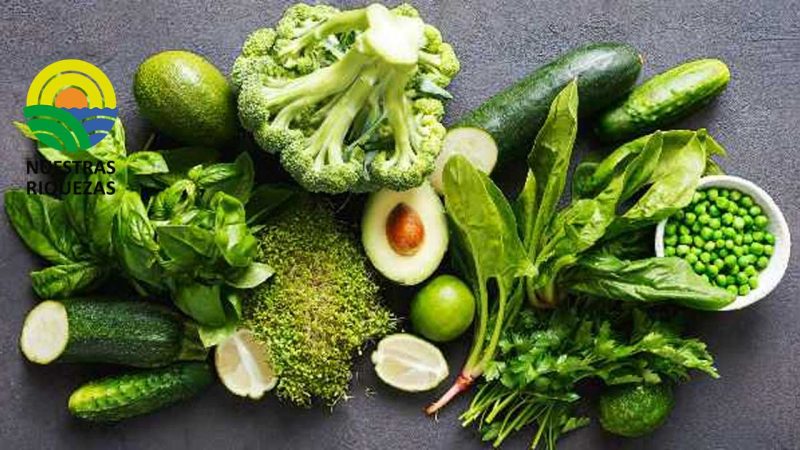 La dieta de los europeos se vuelve ‘verde’: nuevos desafíos de la industria alimentaria 