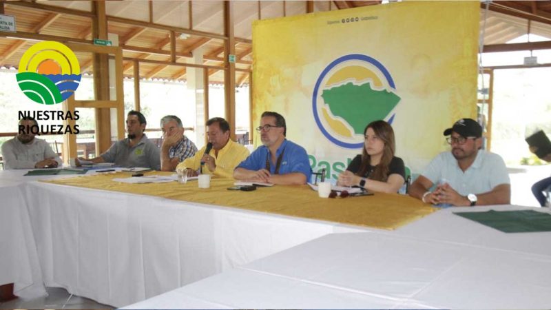 Ministerio del Ambiente entregó más de un millón de dólares a cinco nacionalidades por conservación de bosques 