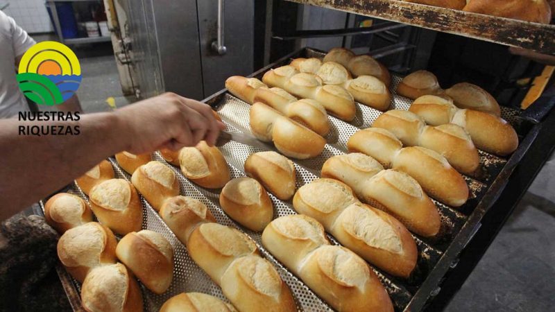 Panaderos: “Necesitamos que se garantice el abastecimiento de trigo” 