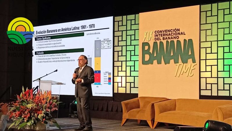 Segundo día del Banana Time 2022 