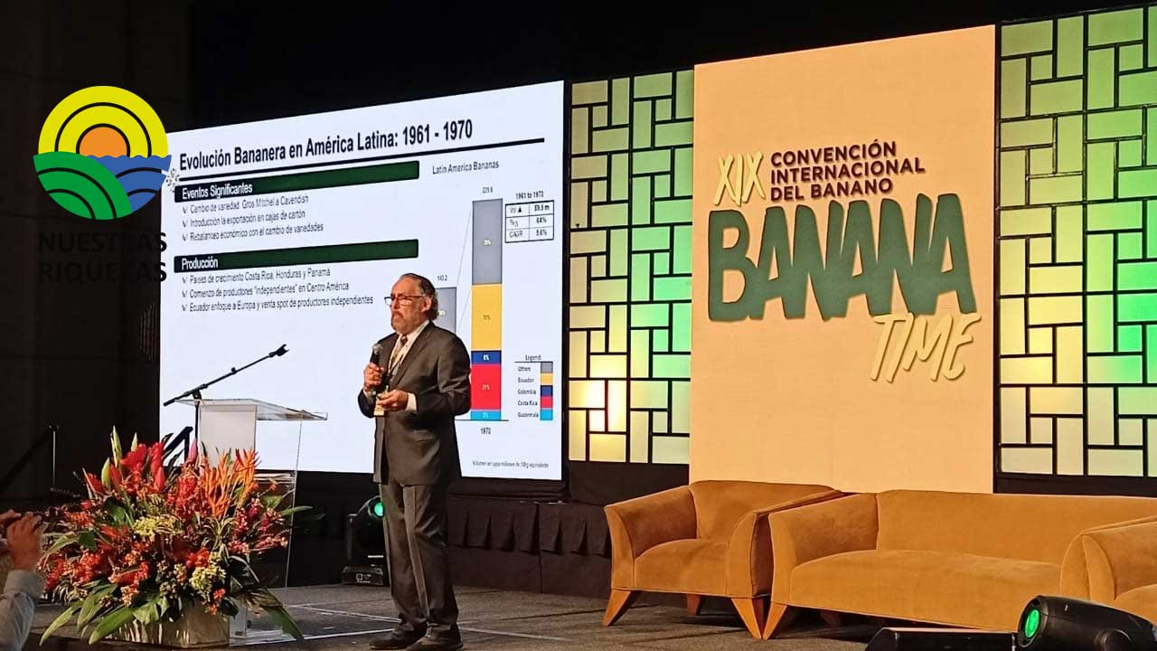 Segundo día del Banana Time 2022 