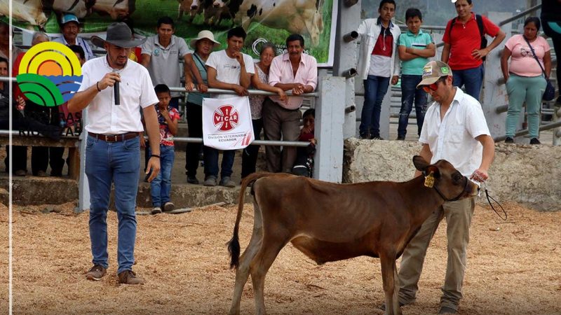 𝐏𝐑𝐄𝐅𝐄𝐂𝐓𝐔𝐑𝐀 𝐃𝐄 𝐁𝐎𝐋Í𝐕𝐀𝐑