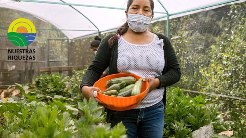 22 Mujeres rurales del cantón Saraguro participaron de gira de capacitación 