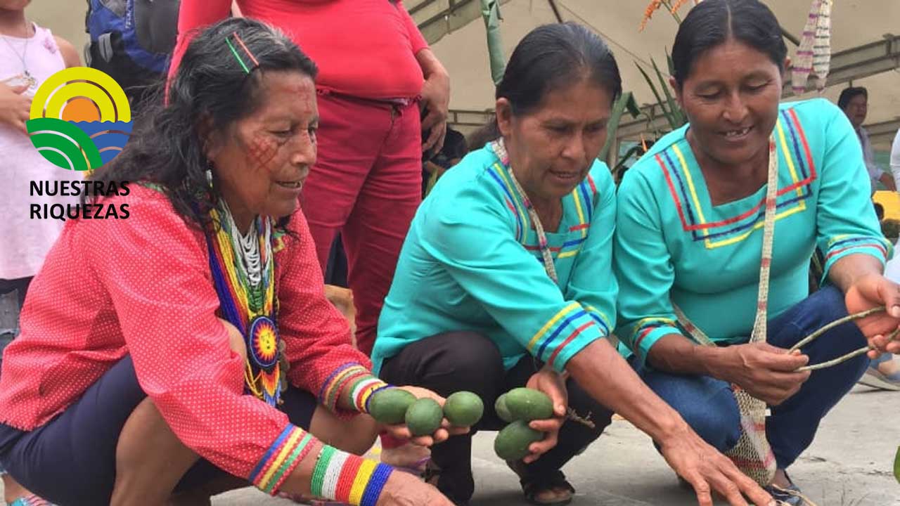 Cerca de 100 emprendimientos de Napo participaron en la Feria Semillas, Sabores y Saberes 