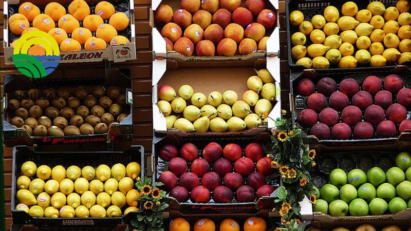 Colombia puede crecer 250% en exportaciones agrícolas en la próxima década, según AmCham 