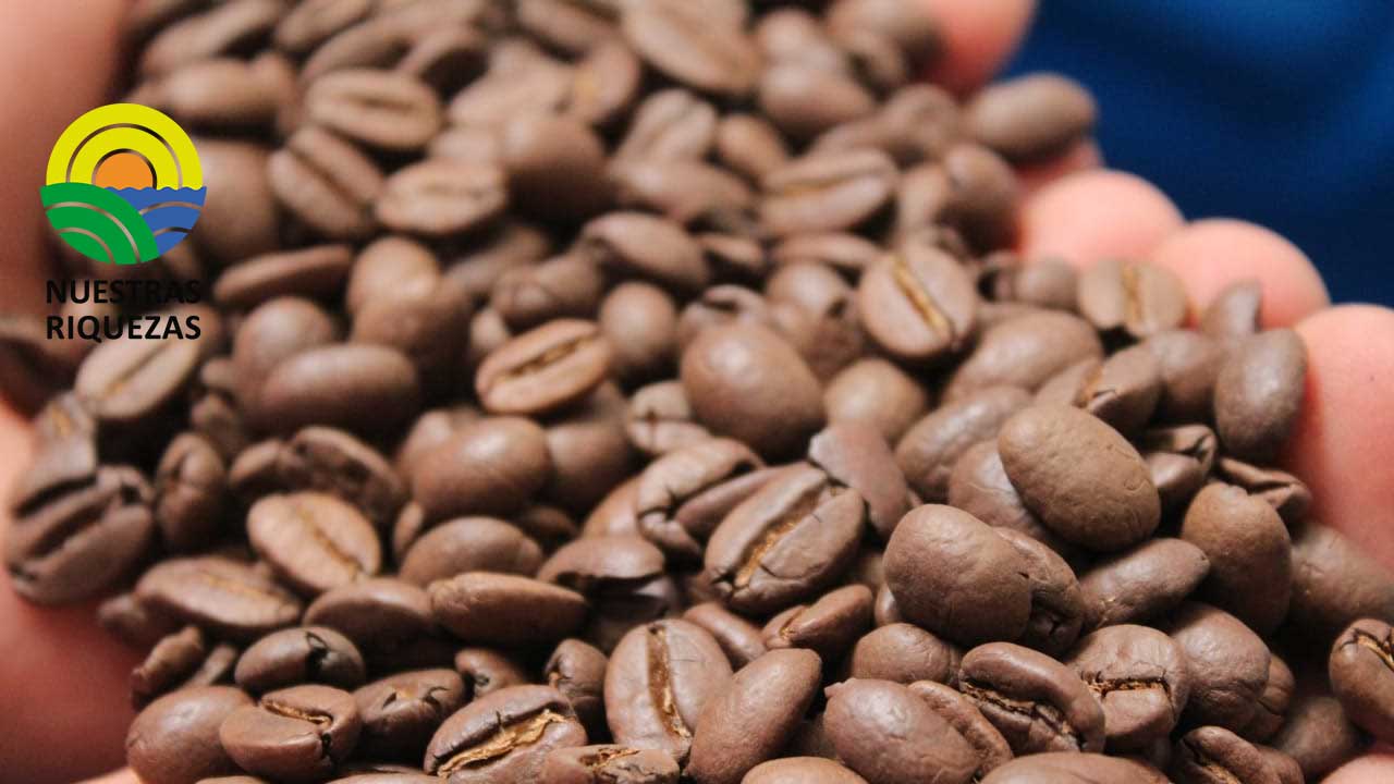 Congreso Internacional de Caficultura se realizará en Loja 