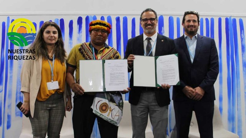 Ecuador se suma a la Coalición LEAF, durante la COP27, para combatir la deforestación 