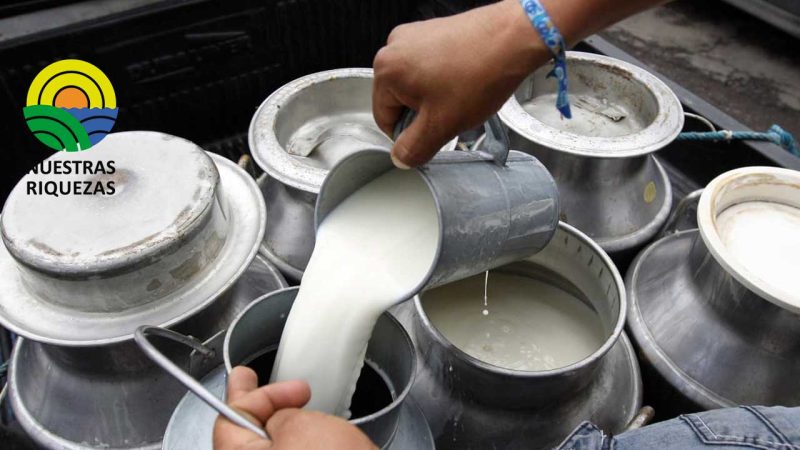 El CIL “no hay sobre oferta de leche, es necesario formalizar al sector” 