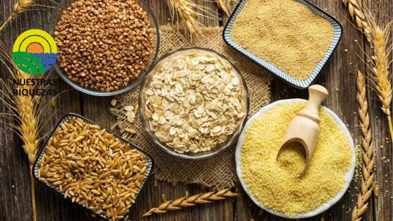 El acuerdo de los cereales rebaja los precios en los países del Mediterráneo 