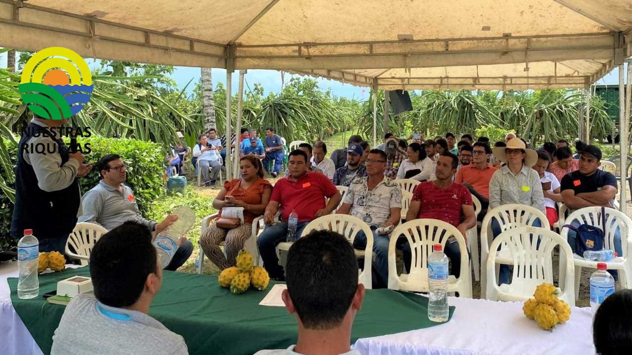 INIAP realizó día de campo en Orellana 