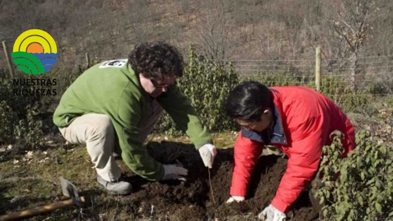 Inicia plan piloto Escuela de Campo Forestal en Azuay 
