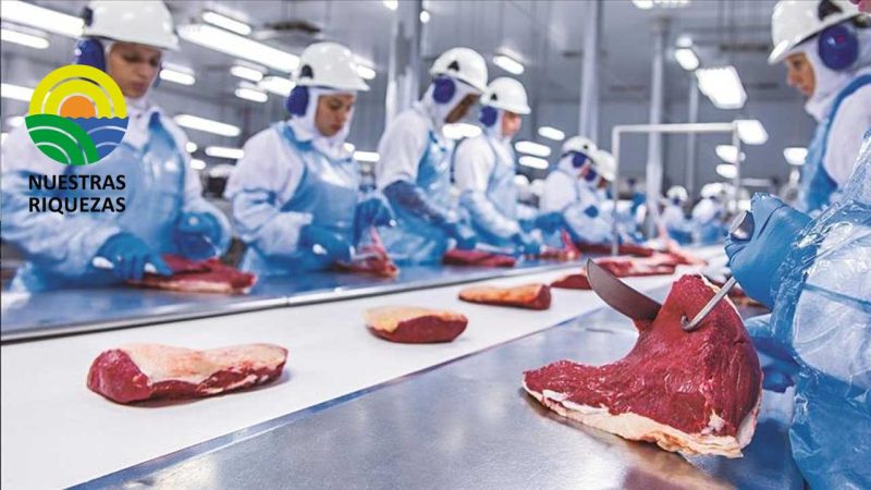 COLOMBIA: Inició la visita de autoridades cubanas para habilitar el sistema de exportación de carnes 