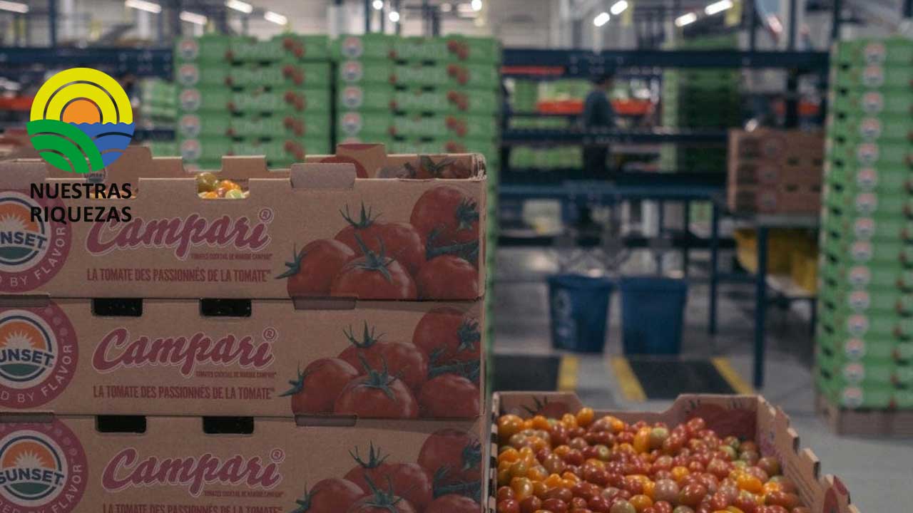 Latinoamérica liderará desaceleración de inflación en economías emergentes 