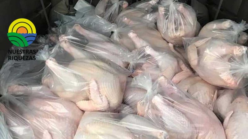 PREFECTURA DE SANTA ELENA ENTREGÓ 250 PAVOS Y BALANCEADO 