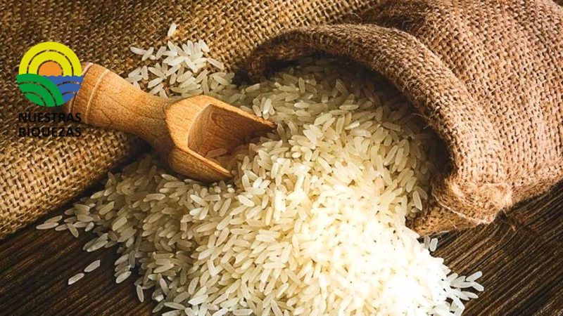 Perú suspende sanciones comerciales a Colombia por reingreso de arroz peruano 