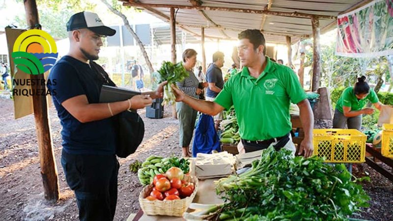 Productores de San Cristóbal y Santa Cruz participan en ferias, para vender directamente 