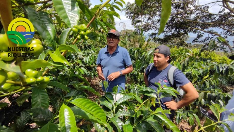 Productores del noroccidente de Pichincha se capacitan para fortalecer la producción de café