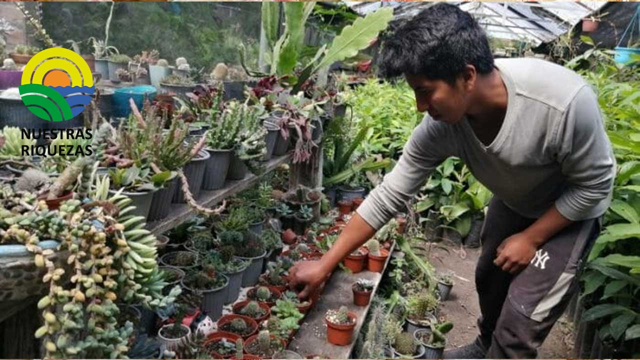 Tres municipios de Puyo y Pastaza reciclan desechos orgánicos y los reutilizan en sus cultivos 